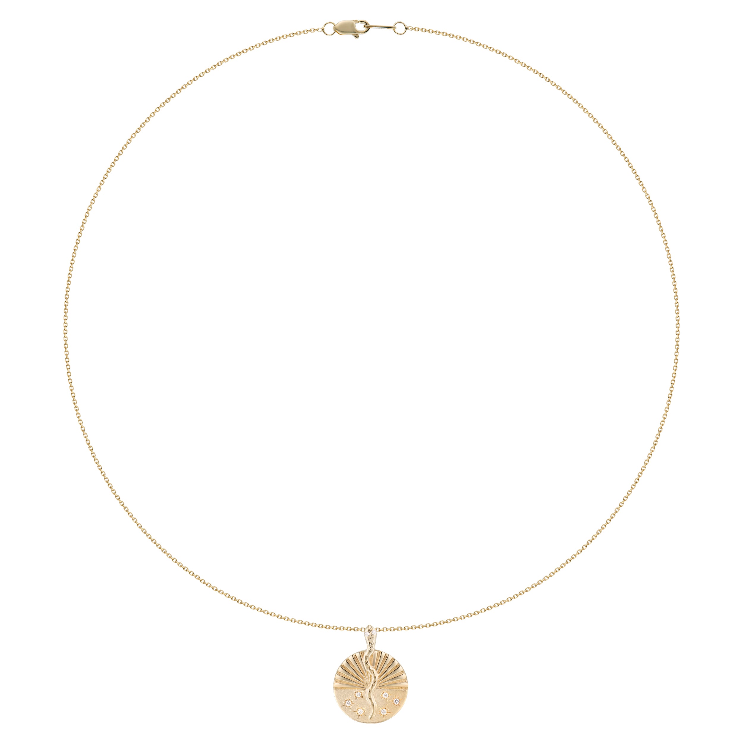 Textured Serpent Half Ray Disc Necklace